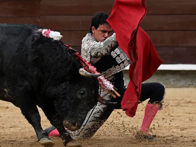 Hay que seguir, el entrenamiento no puede fallar nunca: torero Juan de Castilla tras fuerte cornada