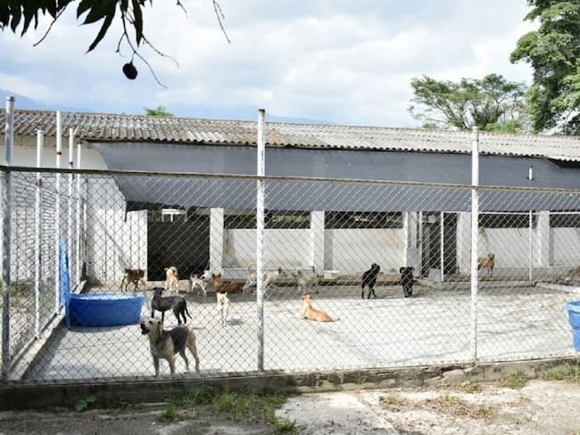 Incertidumbre por futuro del Coso Municipal en Ibagué