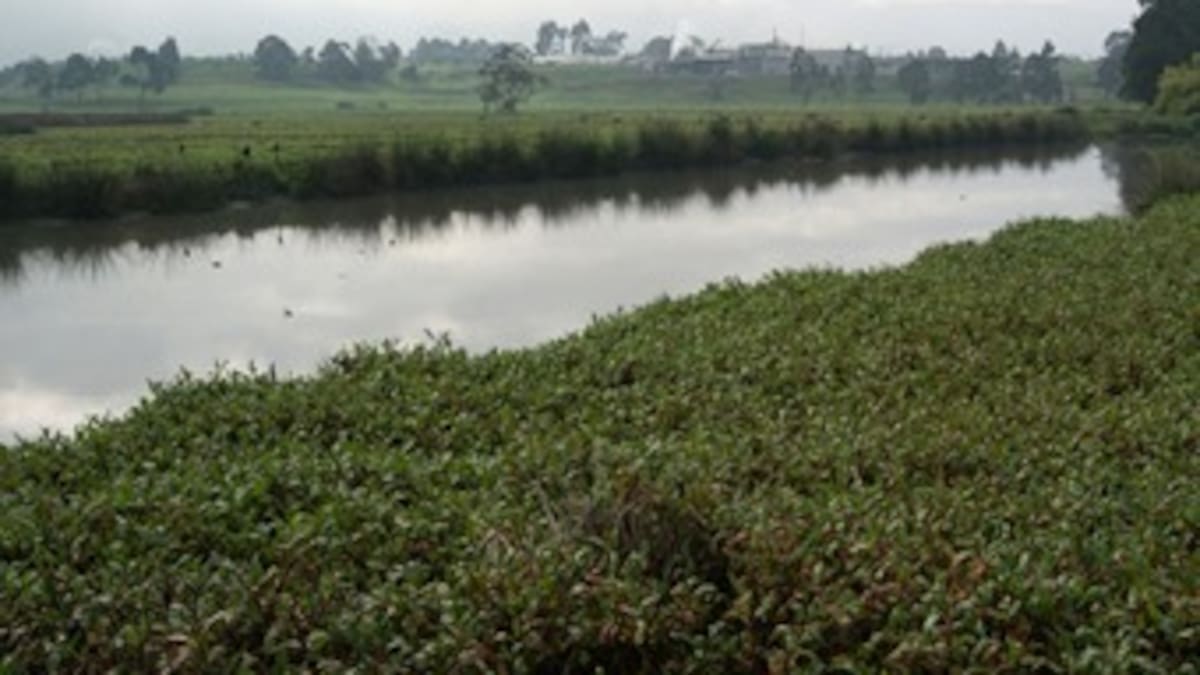 “Se ha botado la plata para la descontaminación de los ríos en Bogotá”: Petro
