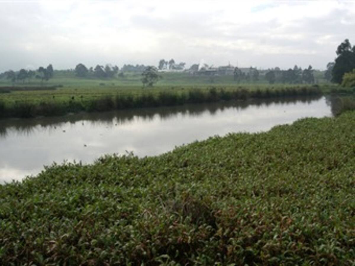 “Se ha botado la plata para la descontaminación de los ríos en Bogotá”: Petro