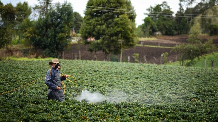 ¿A qué deben estar atentos los agricultores? MinAgricultura explica