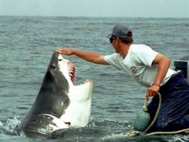 El gran tiburón blanco del Mediterráneo es originario de Australia