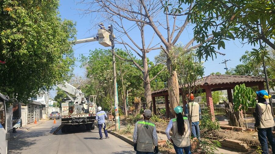 Alcaldía de Cartagena