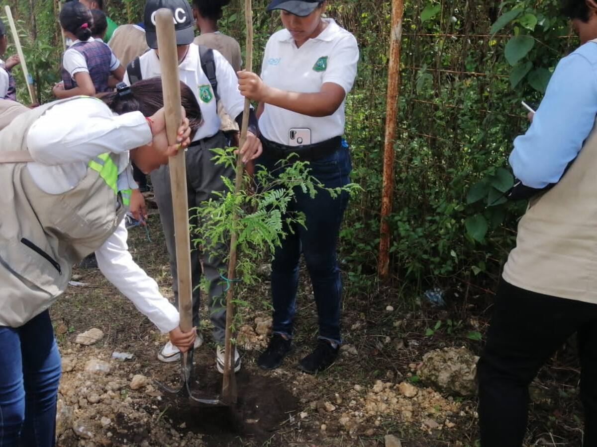EPA Cartagena rinde homenaje a la Mujer con siembra de árboles