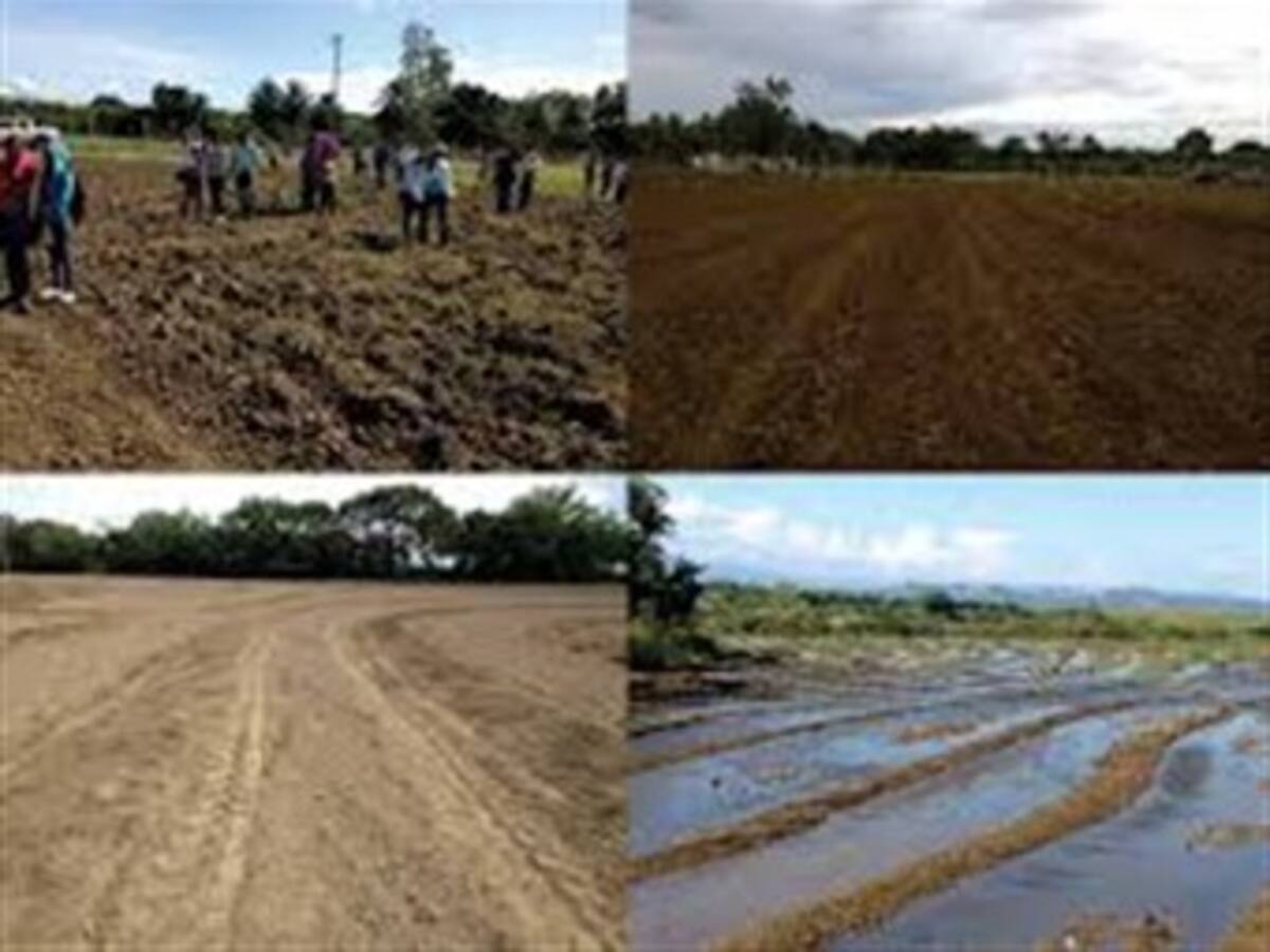 Contrabando, TLC y cambio climático mantienen en crisis el Norte de Santander