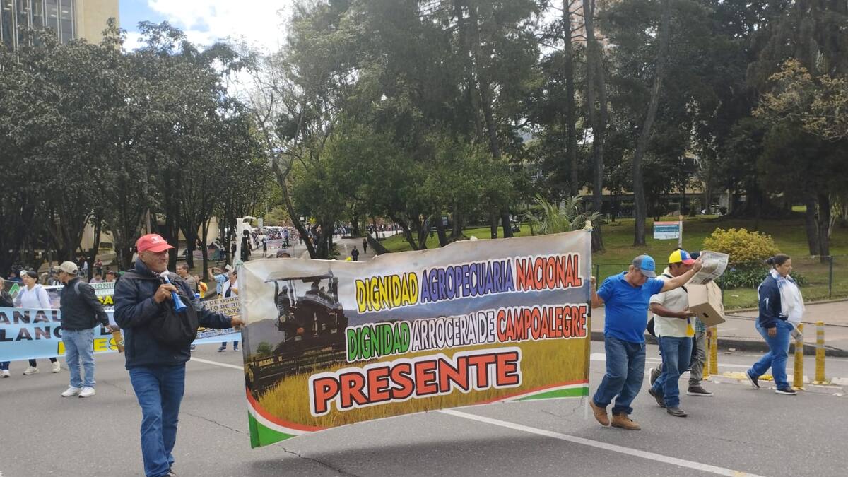 Arroceros del Huila, exigen respuesta del Gobierno Nacional, o volverán al bloqueo de vías