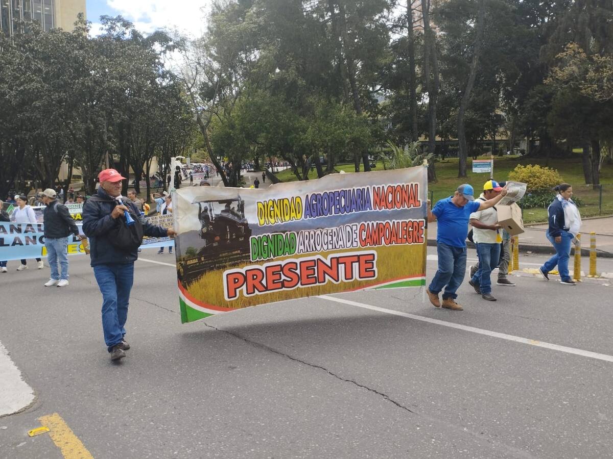Arroceros del Huila, exigen respuesta del Gobierno Nacional, o volverán al bloqueo de vías