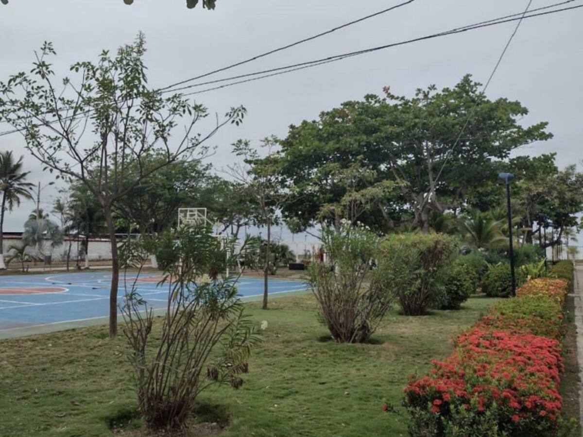 Aprobado proyecto que busca ejecutar arborización en colegios de Cartagena