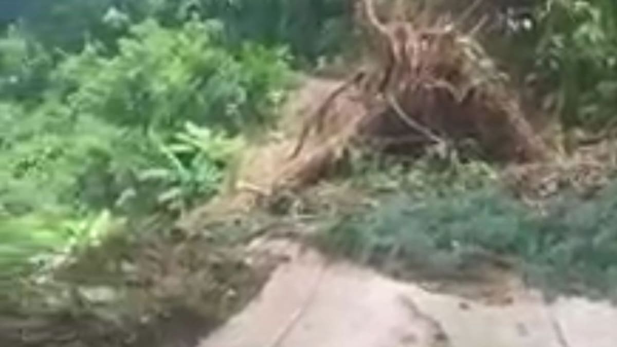 Fuertes lluvias tienen en riesgo la cosecha cafetera de la Sierra Nevada