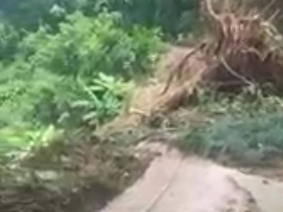 Fuertes lluvias tienen en riesgo la cosecha cafetera de la Sierra Nevada