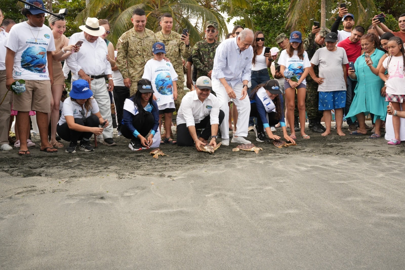 Liberan 25 tortugas marinas en el marco de la conmemoración de los 501 años de Santa Marta/ Corpamag