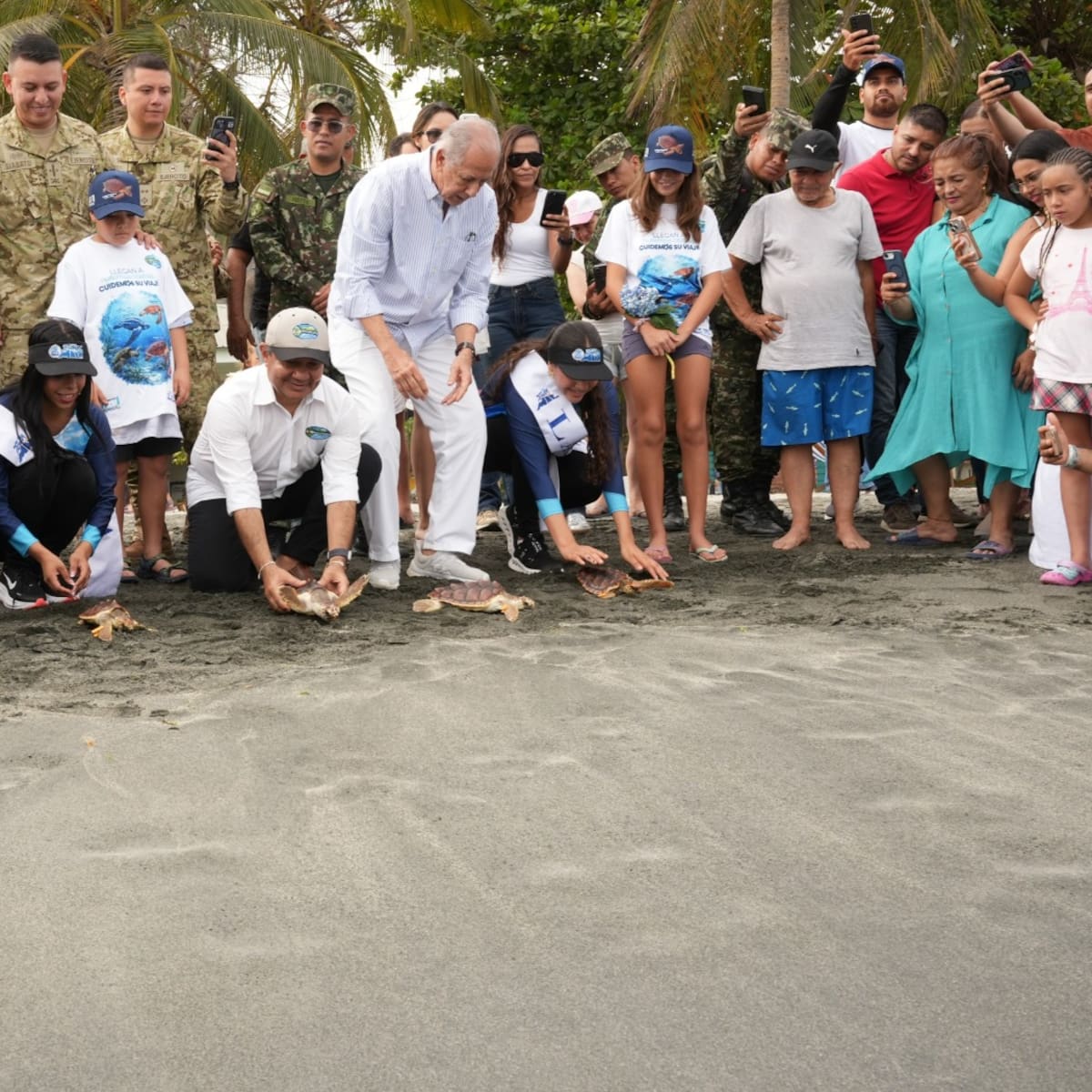 Liberan 25 tortugas marinas en el marco de la conmemoración de los 501 años de Santa Marta