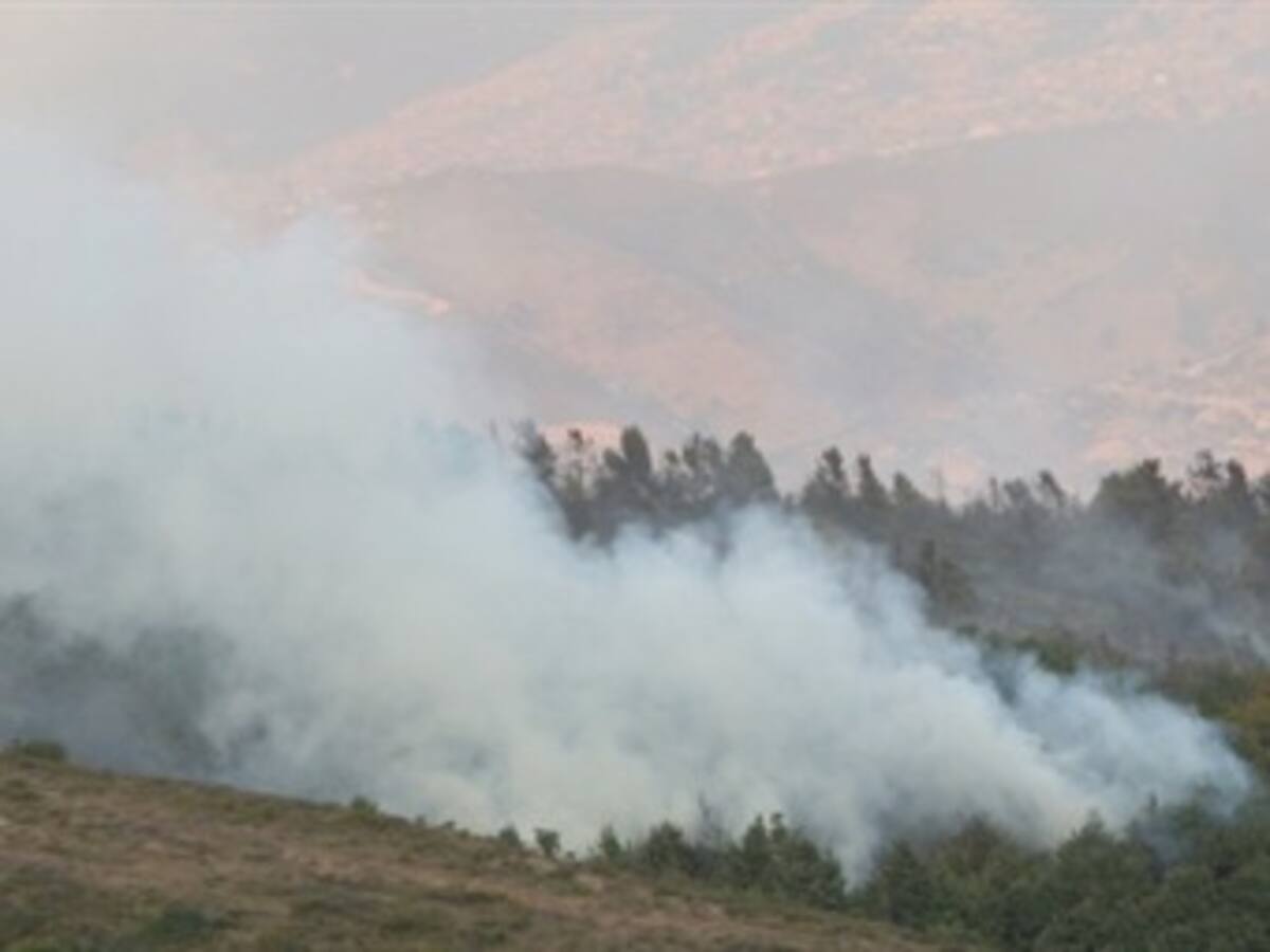 Incalculables daños ecológicos por incendios forestales en Región Caribe