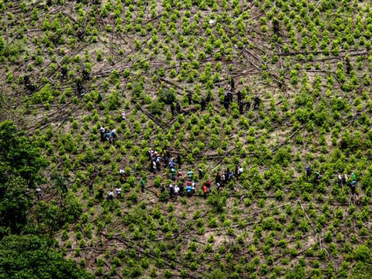 Pelotón militar retenido por campesinos en Argelia fue liberado