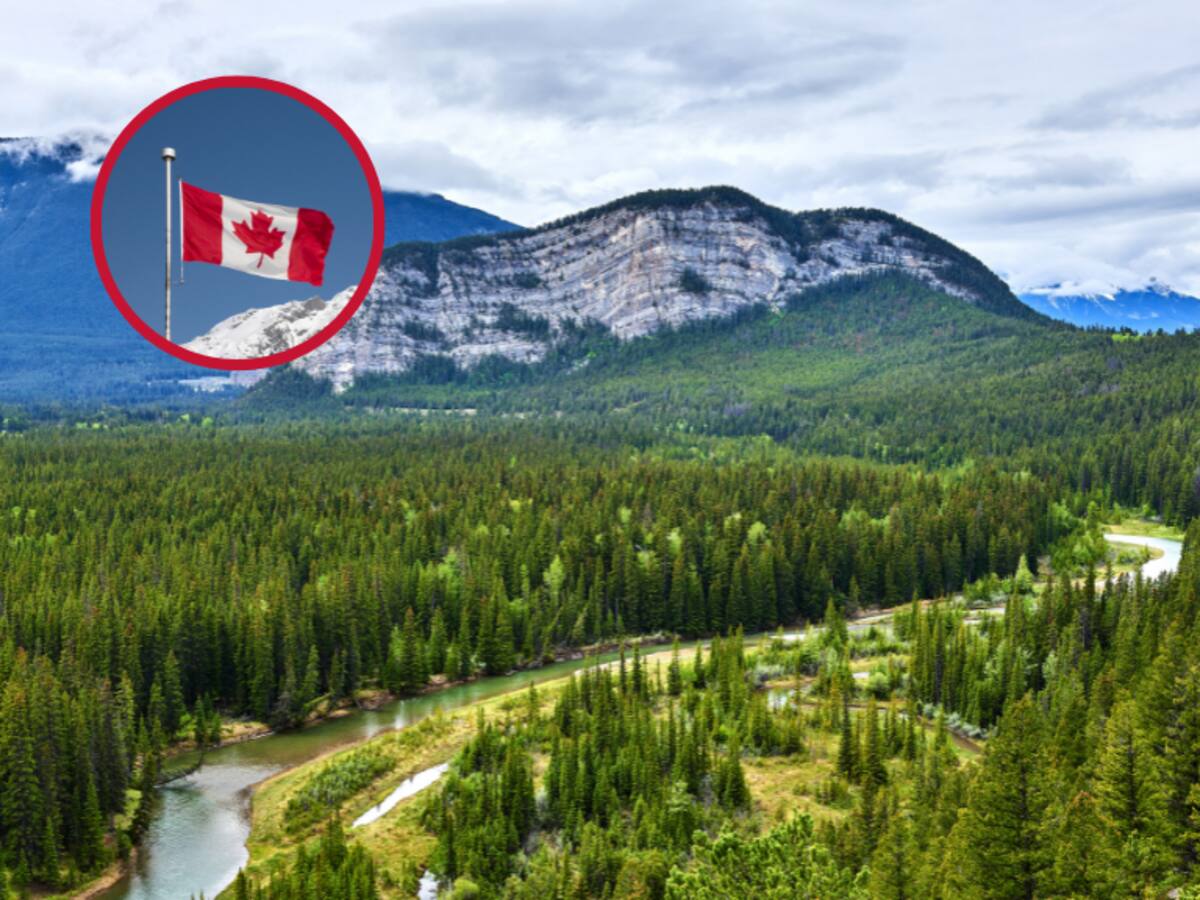 ¿Le gustaría trabajar en los Parques Nacionales de Canadá? Ofertas y sueldo en dólares