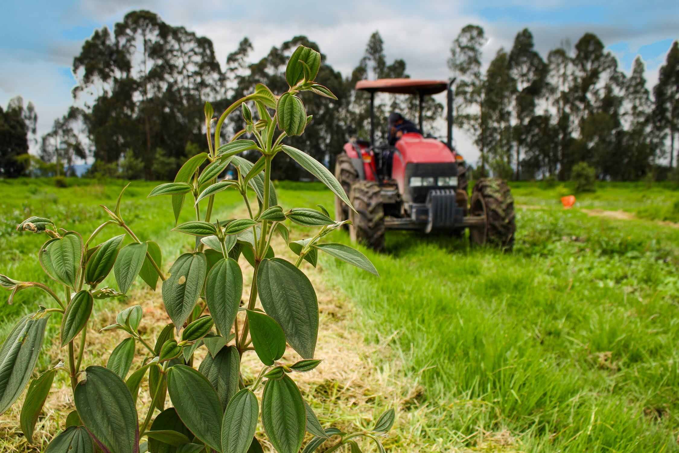 Foto: cortesía SENA