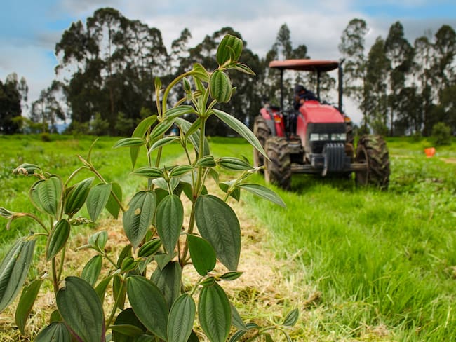 En Mosquera, el SENA realizará feria sobre su trabajo para el sector agropecuario