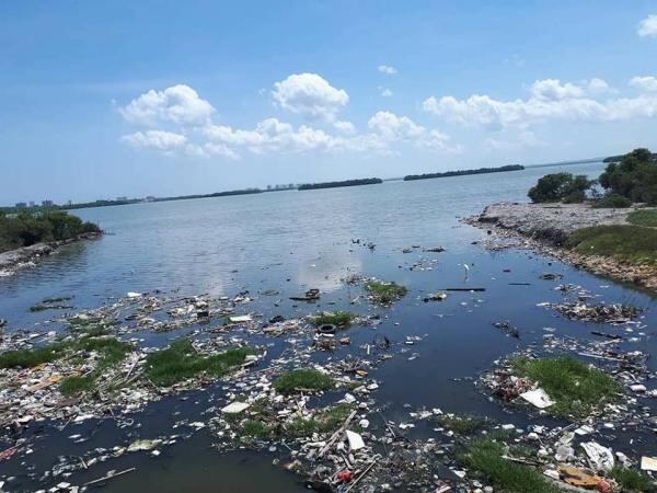 Contaminación en la ciénaga de la Virgen. Foto: Funcicar