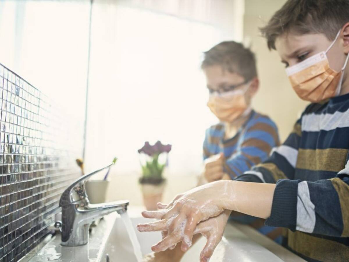 El Coronavirus, analizado por una experta en el tema