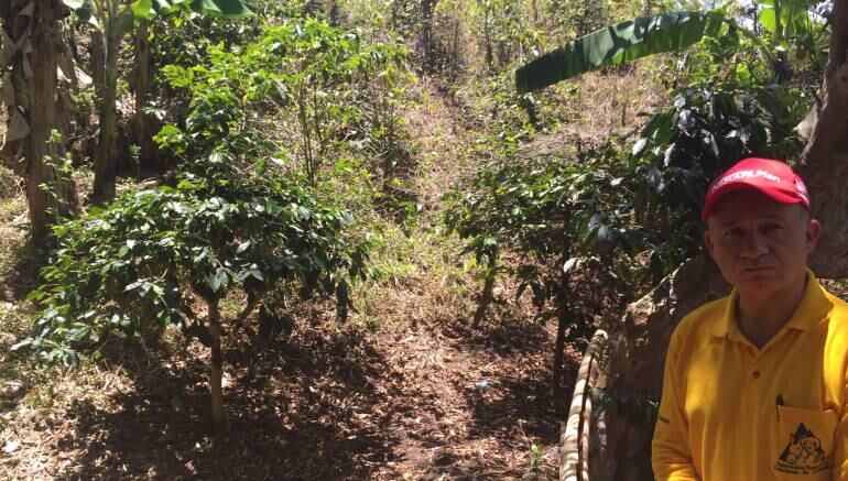 COMITÉ CAFETEROS QUINDÍO, Gerente Técnico Federación Cafeteros, Carlos Armando Uribe