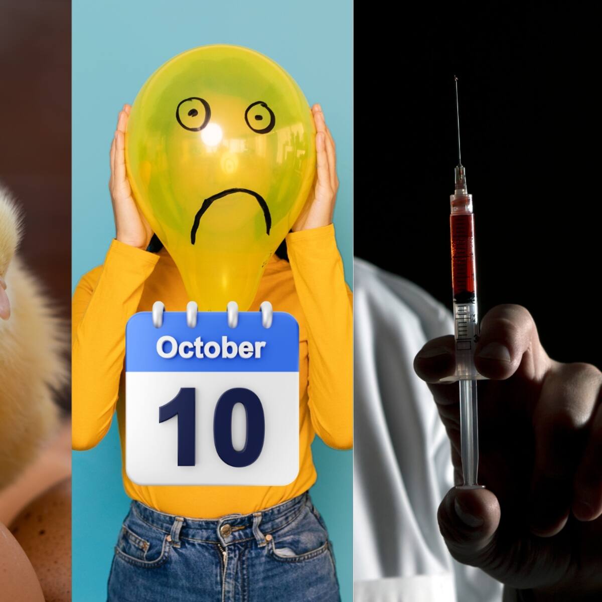 ¿Qué se celebra el 10 de octubre?: salud mental, huevos y pena de muerte son motivo de festividad