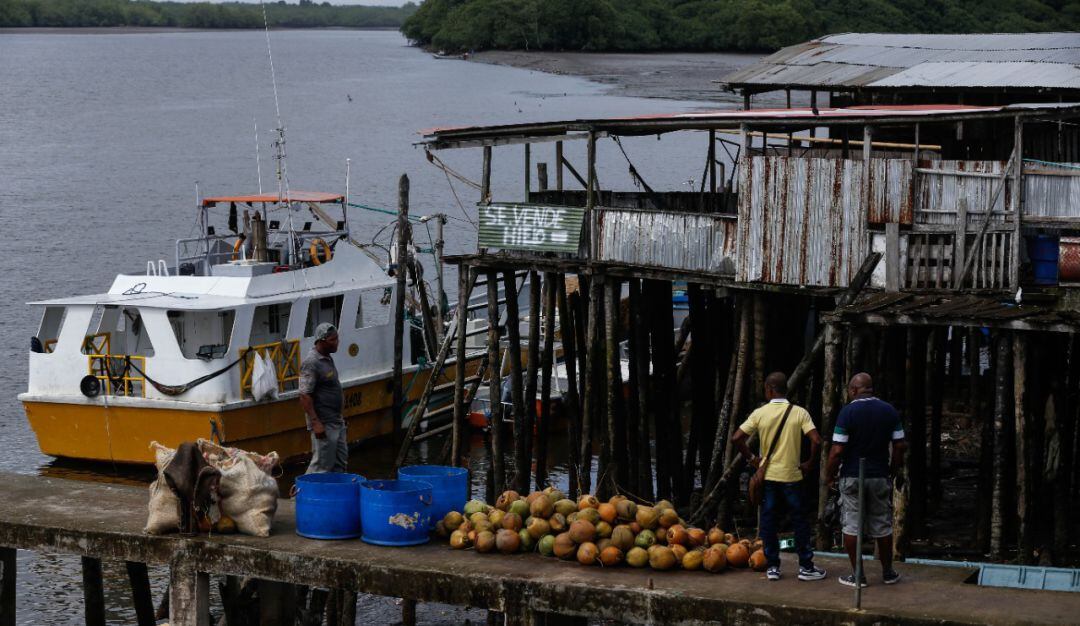 Imágen de referencia