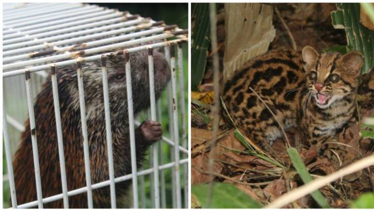 Oscar Ospina Herrera, profesional especializado Corpocaldas.