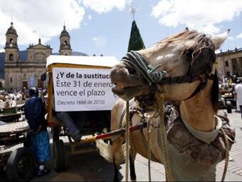 La sustitución de vehículos de tracción animal es una promesa del alcalde Gustavo Petro. Foto: Archivo
