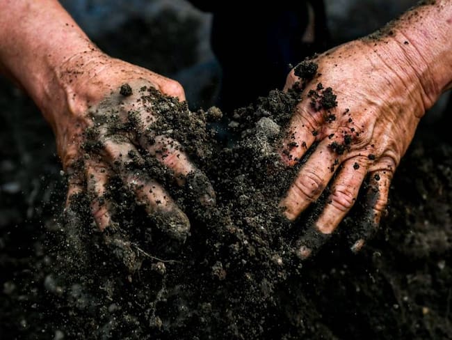 Preparación de tierra para la siembra en La Guajira, Colombia.      Foto: Getty 