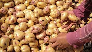 El invierno comienza afectar diferentes cultivos en el Tolima.