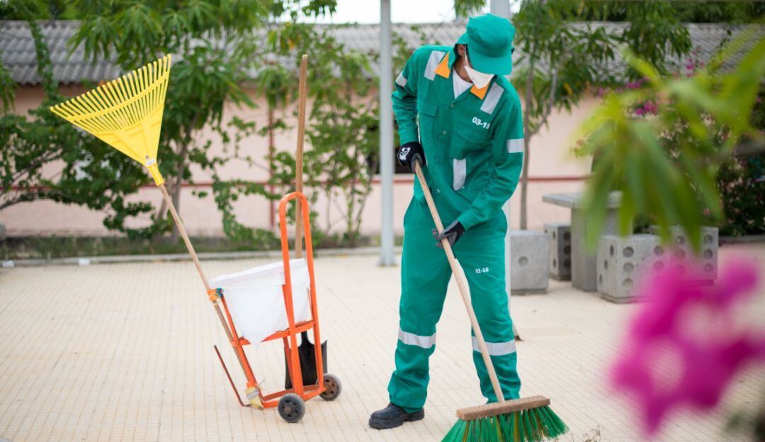 Imagen de referencia 