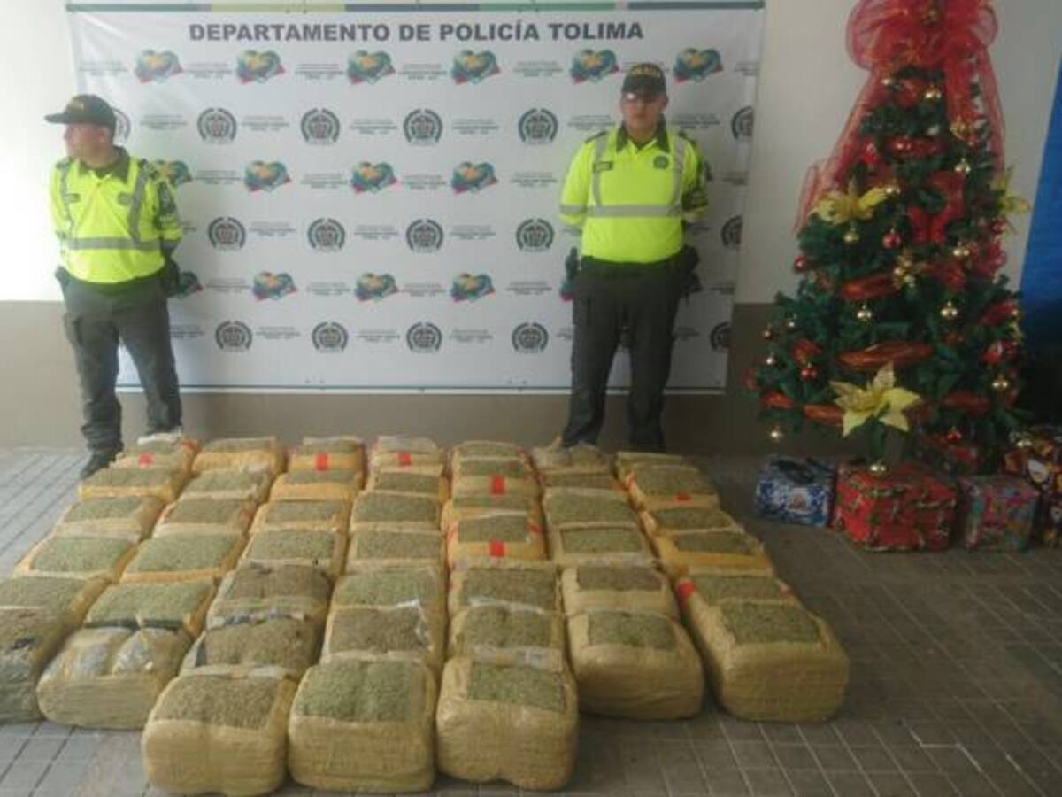 Incautan cargamento de marihuana en vías de Tolima