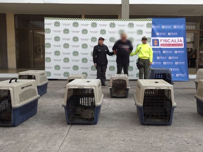 El llamado a la comunidad a evitar estos comportamientos que afectan el medio ambiente y ponen en riesgo la vida y salud tanto de la fauna, la flora e incluso de los seres humanos.