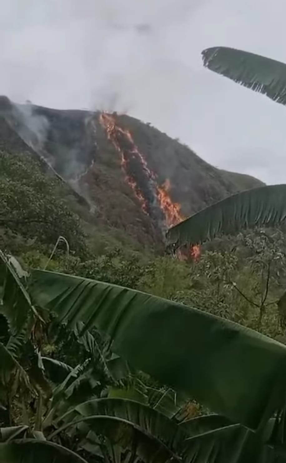Estas emergencias evidencian que el fenómeno. Foto Redes Sociales.