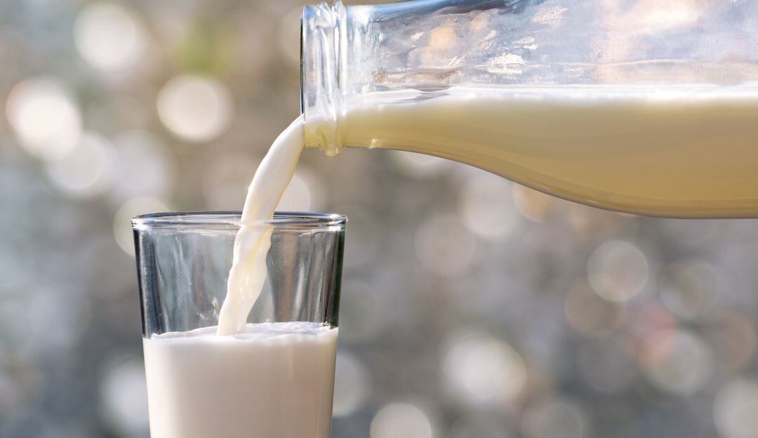 "Todo producto que tenga lactosuero debe ir etiquetado": Experto