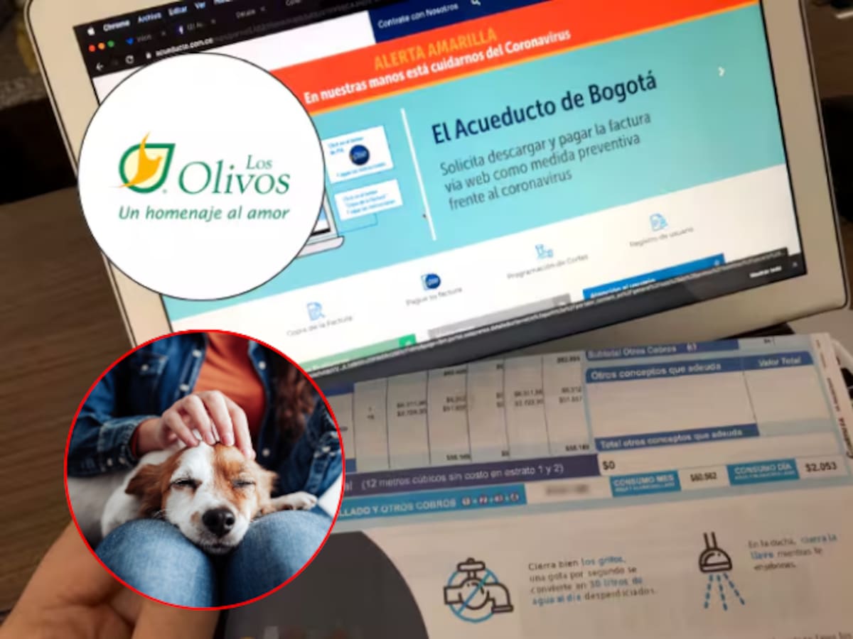 Plan exequial y de asistencia veterinaria ahora podrán ser pagados en la factura del agua en Bogotá