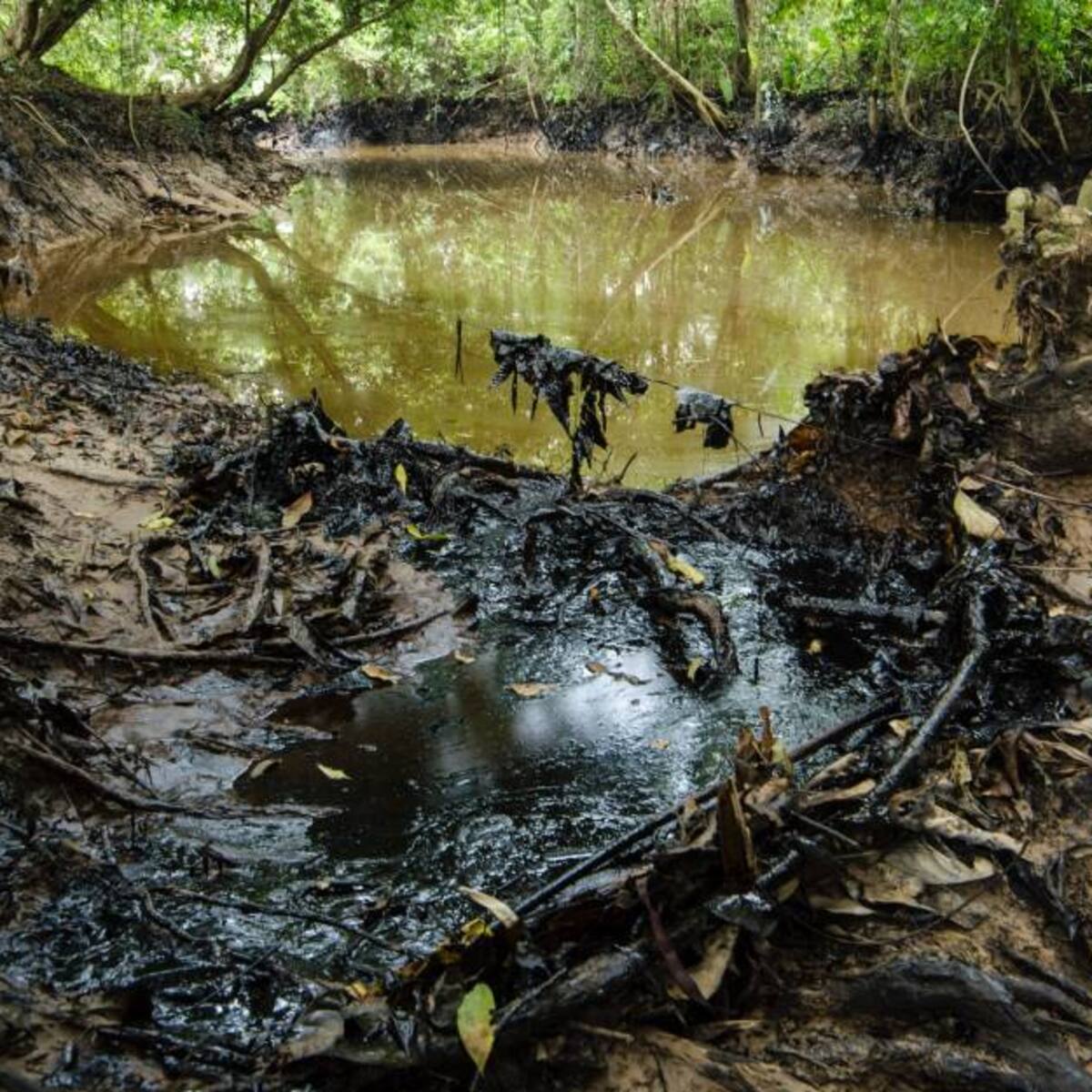 Artículo de The New York Times denuncia alianza entre PNUD y petroleras en Colombia