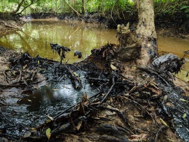 Artículo de The New York Times denuncia alianza entre el PNUD y petroleras en Colombia. Foto: Getty