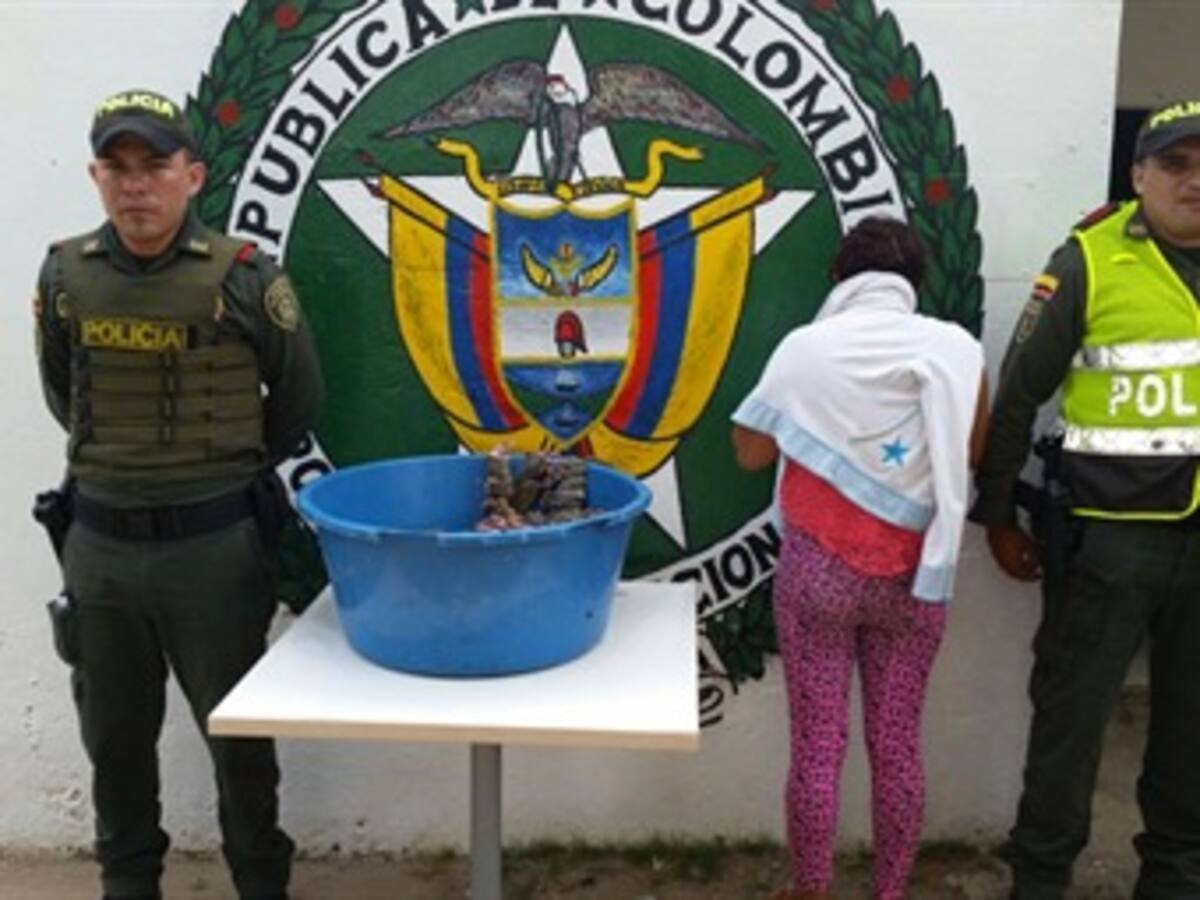 Capturan a mujer al Norte de Cartagena por tráfico de fauna silvestre