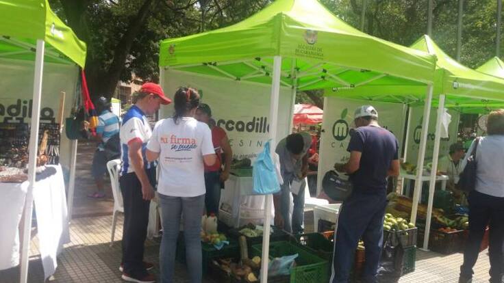 Denuncian que en mercadillo recogieron firmas para Fajardo