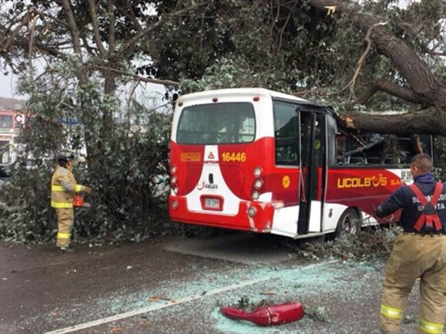Cuatro lesionados por caída de árbol sobre un bus en Bogotá