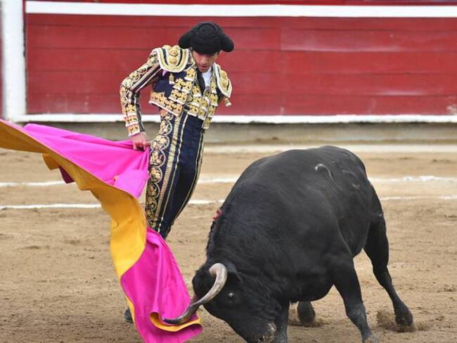 Juez de tutela negó la posibilidad de realizar corridas de toros en Cartagena