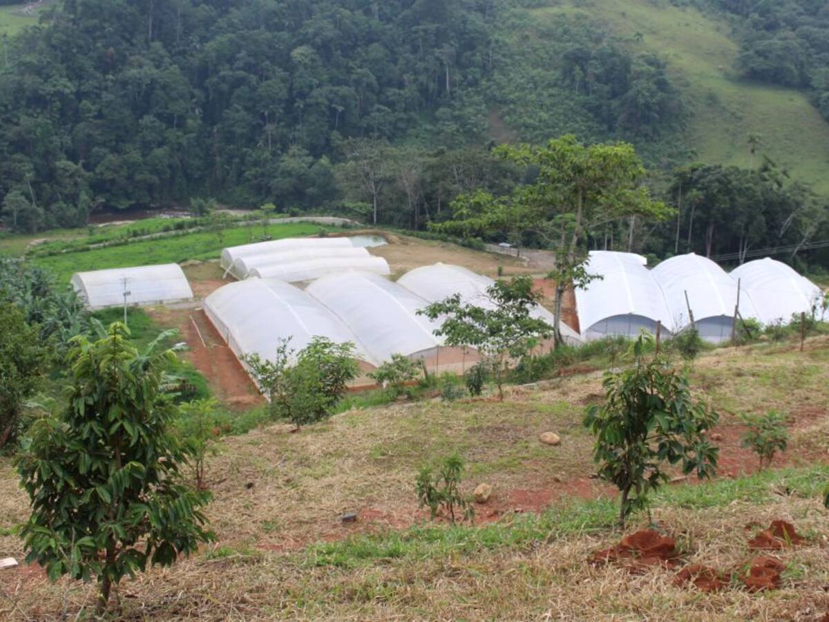 Otorgan $3500 millones para impulsar más de 500 proyectos de excombatientes