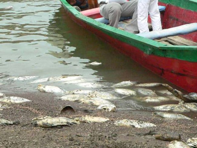 No acaba la tragedia ambiental por muerte de peces en el Lago Sochagota de Paipa, Boyacá