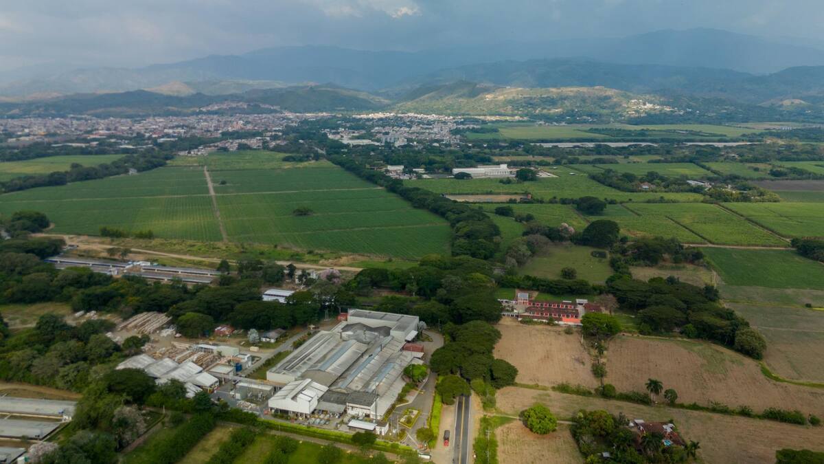 CVC niega permiso ambiental para proteger la integridad del 'Túnel Verde' en Buga, Valle
