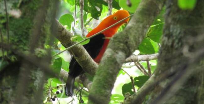 Toda esta magia se vive a solo 1 hora de Neiva.