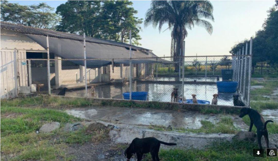 El Capa esta ubicado en la vía a Alvarado.