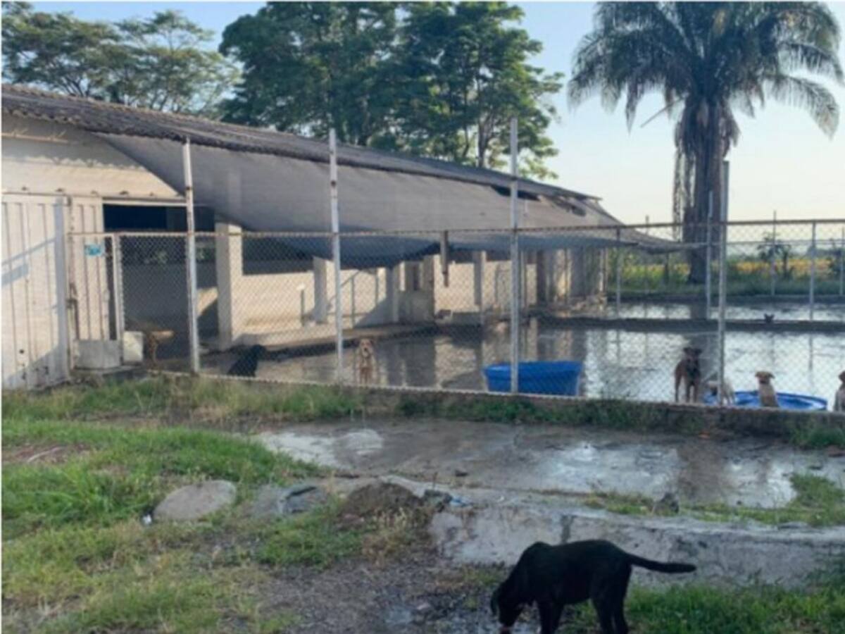 Abren indagación contra el alcalde deIbagué por irregularidades en el capa