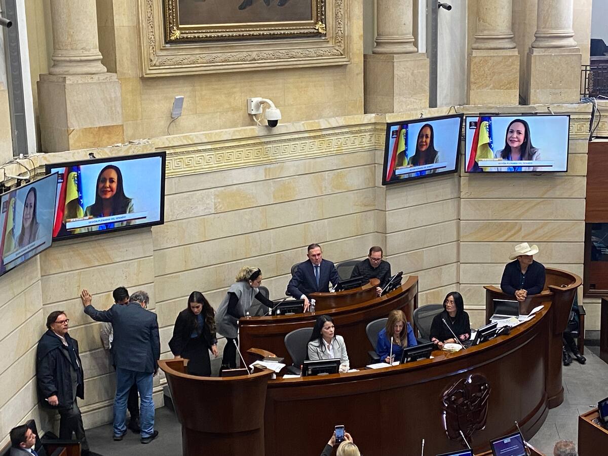 El silencio ya no es una opción frente a lo que ocurre en Venezuela: Machado a Petro