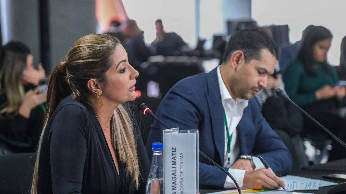 Gobernadora del Tolima mostró su preocupación por el deterioro del orden público